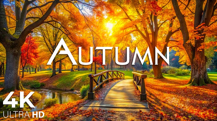 Enchanting Autumn Forests with Beautiful Piano Music🍁4K Autumn Ambience & Fall Foliage