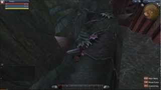 RaiderZ NA Alpha Test - Hero's Lane Bug 1
