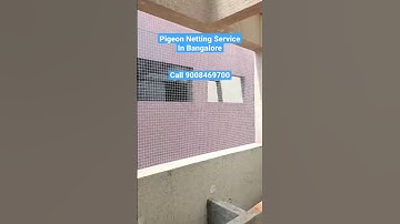Pigeon Netting Service In Bangalore 9008469700 #netting #safetynet #net #mesh #balcony #pigeon
