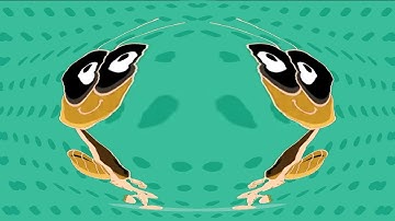 Creative Bob Zoom Intro - Motion Graphics Animation | Sponsored By Preview 2 Effects