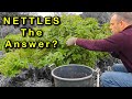 Are Stinging Nettles the Answer?
