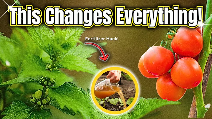 Are Stinging Nettles the Answer?
