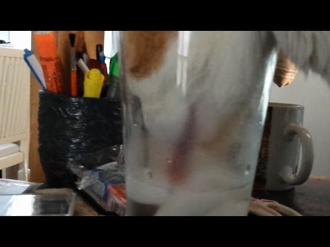 YOU RUINED MY DRINK - YouTube