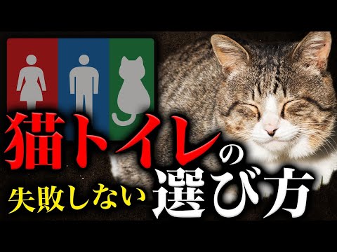 【猫トイレ】うちの猫が粗相するのはなぜ？飼い主がやりがちな9つの失敗