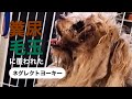 どうして私を【ネグレクト】したの?