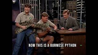 Late-Night Wild Ride: Steve Irwin's snake Introduction to Conan O'Brien!
