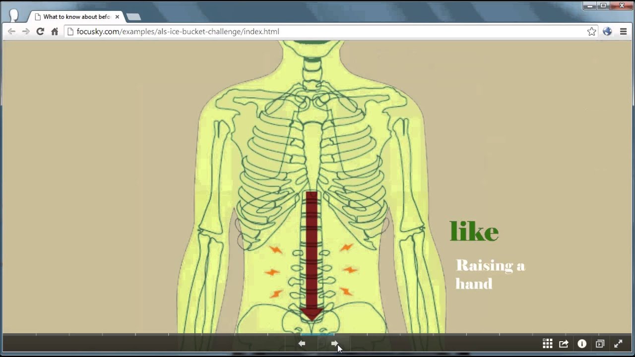 Free Web Presentation Maker   easily create online rich media presentation