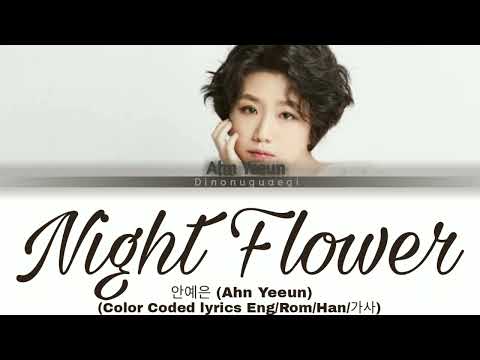 Ahn Yeeun (안예은) - Night Flower (Color Coded Lyrics Han/Rom/Eng)
