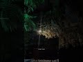 Queen Of The Night 🌙✨ Slowed + Reverb | Aesthetic Night Vibes 🎧 #QueenOfTheNight #SlowfyTunes