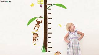 Monkey Banana Tree Height Chart Wall Decals