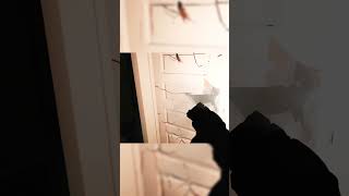 Famous Split Second VR Tactical Shooter #vr #virtualrealitygame #vrgame #vrgaming #onwardvr Net Worth
