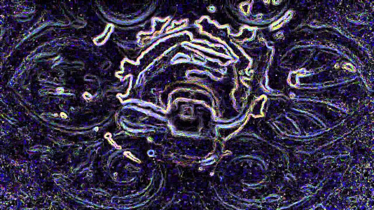 Réalité altérée ou les pensées d'un cadavre