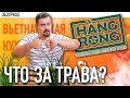 Доставка вьетнамской кухни HANG RONG | Трава с кустика