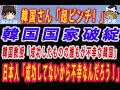 【ゆっくり解説】韓国教授「韓国はアジアの龍、奇跡的な成功したものの誰もが不幸な韓国 #ゆっくり解説 #韓国 #韓国経済
