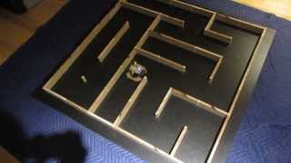 Micromouse "Venus" - Flood Fill Search