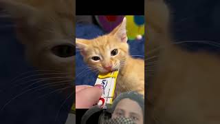 #this women help cat love# #beautiful video#