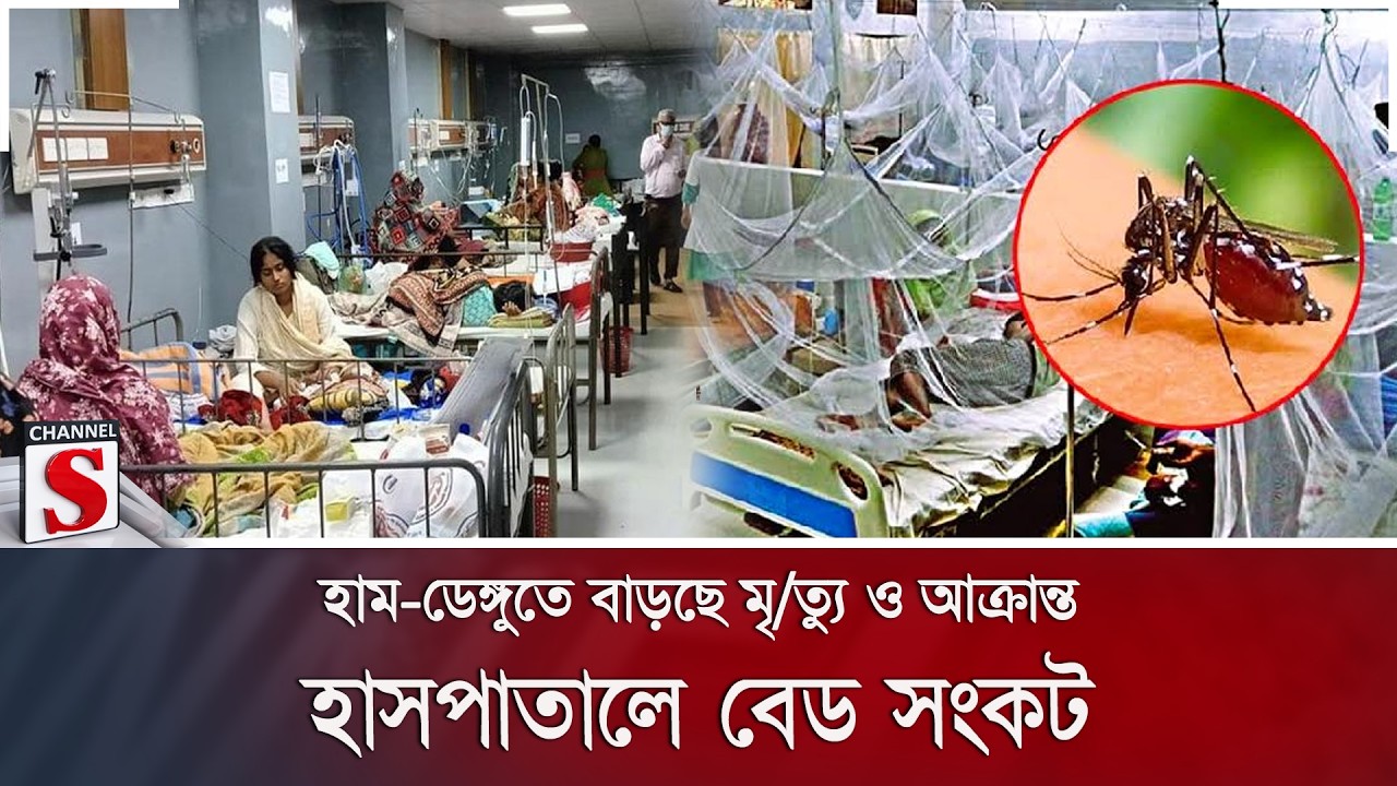 হাম-ডেঙ্গুতে বাড়ছে মৃ/ত্যু ও আক্রান্ত; হাসপাতালে বেড সংকট | Measles | Dengue | Channel S News