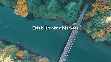 A Year In Review 2019, Making The Most Of Business in 2020