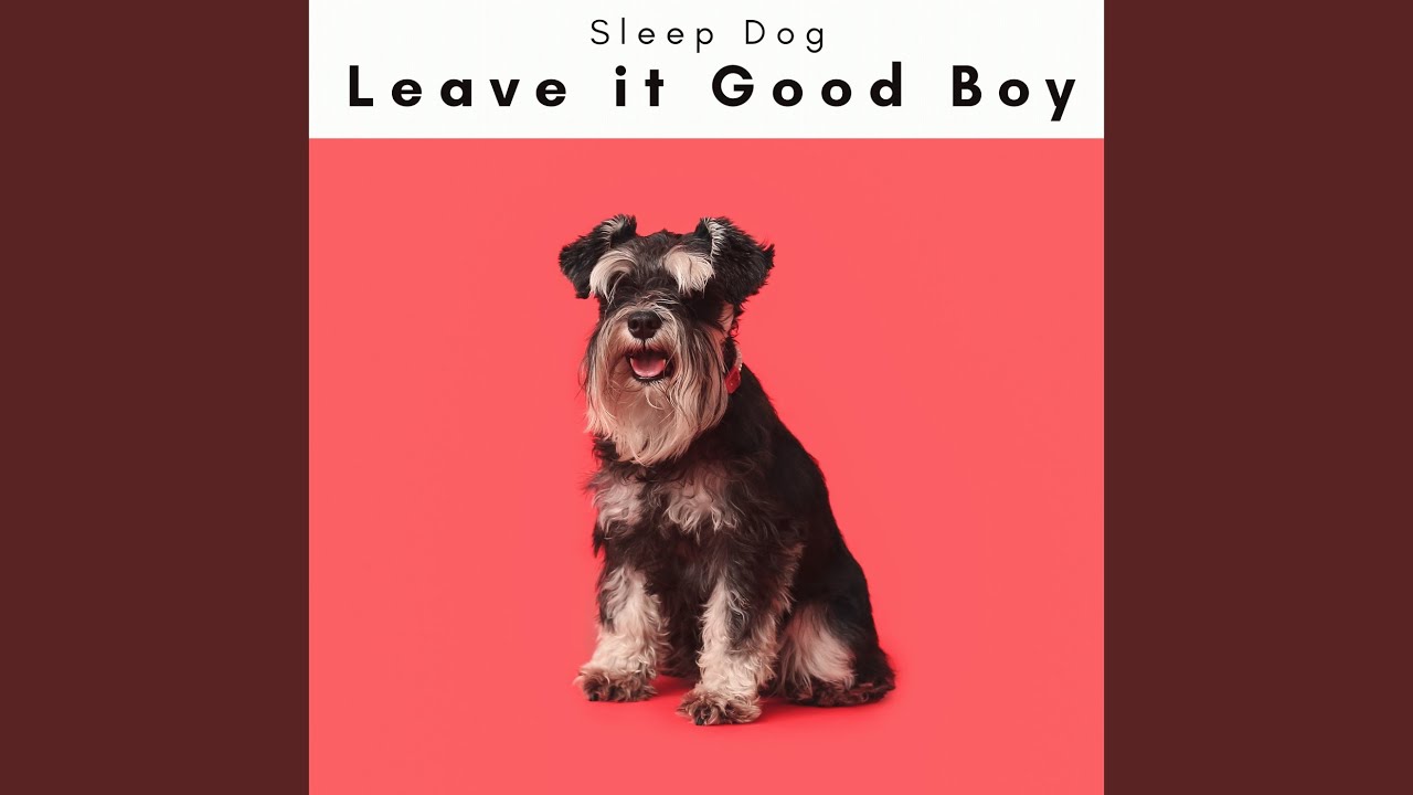 Calming Ambience for Devoted Dogs