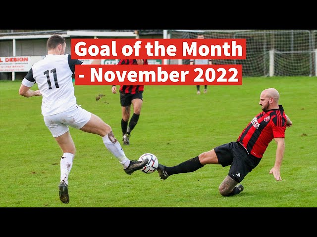 Goal of the Month: November 2022