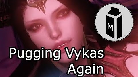 Vykas G1-G3 Paladin POV