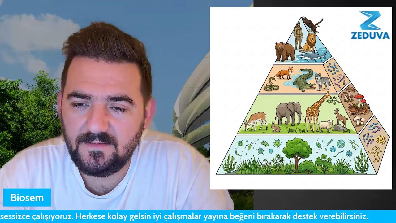 Biyoloji cep kitabı yazıyorum. Ramodoro ❤️ | ZEDUVA SINIFI Sanal Kütüphane