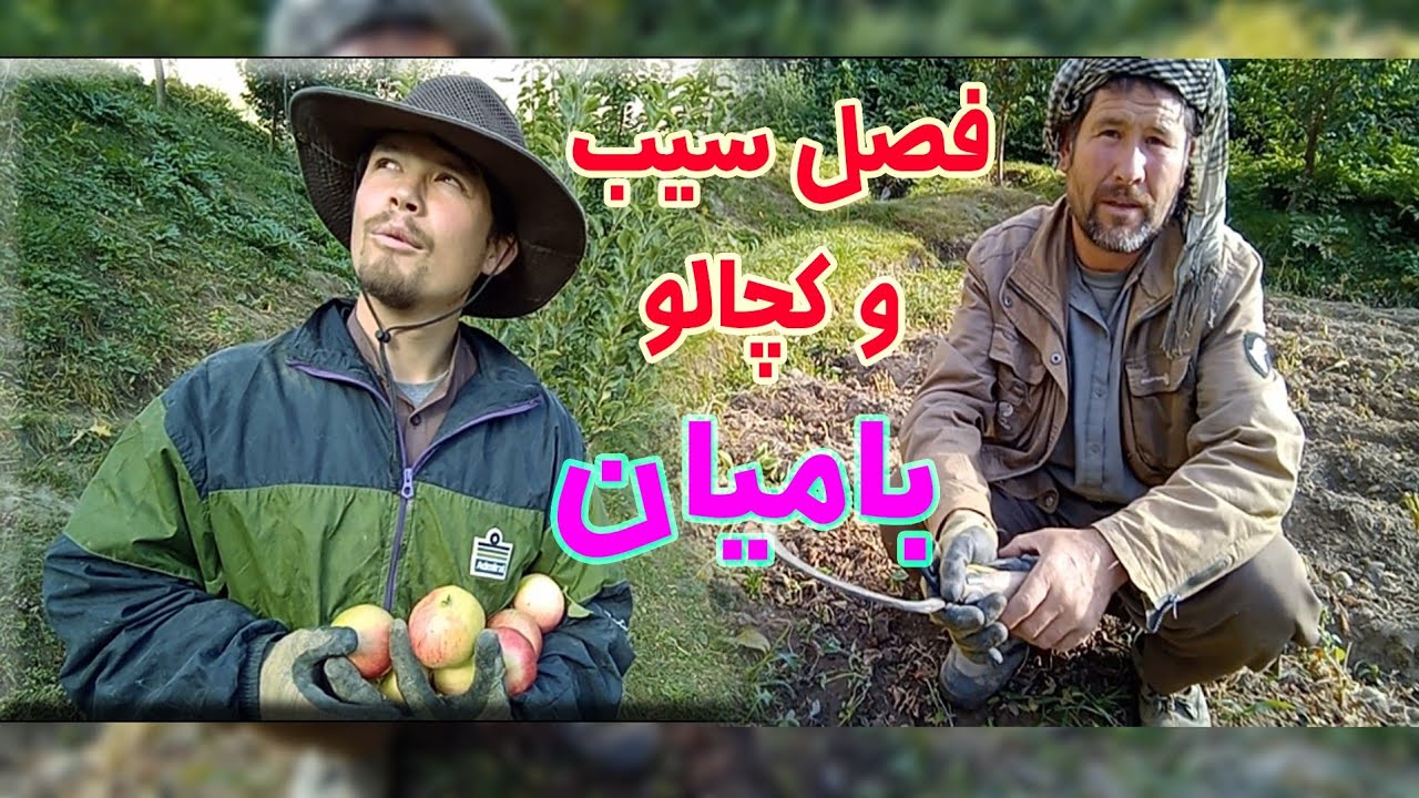 #طبیعت منحصر بفرد دره کالو- بامیان؛ با سیب و کچالوی بینظیر - YouTube