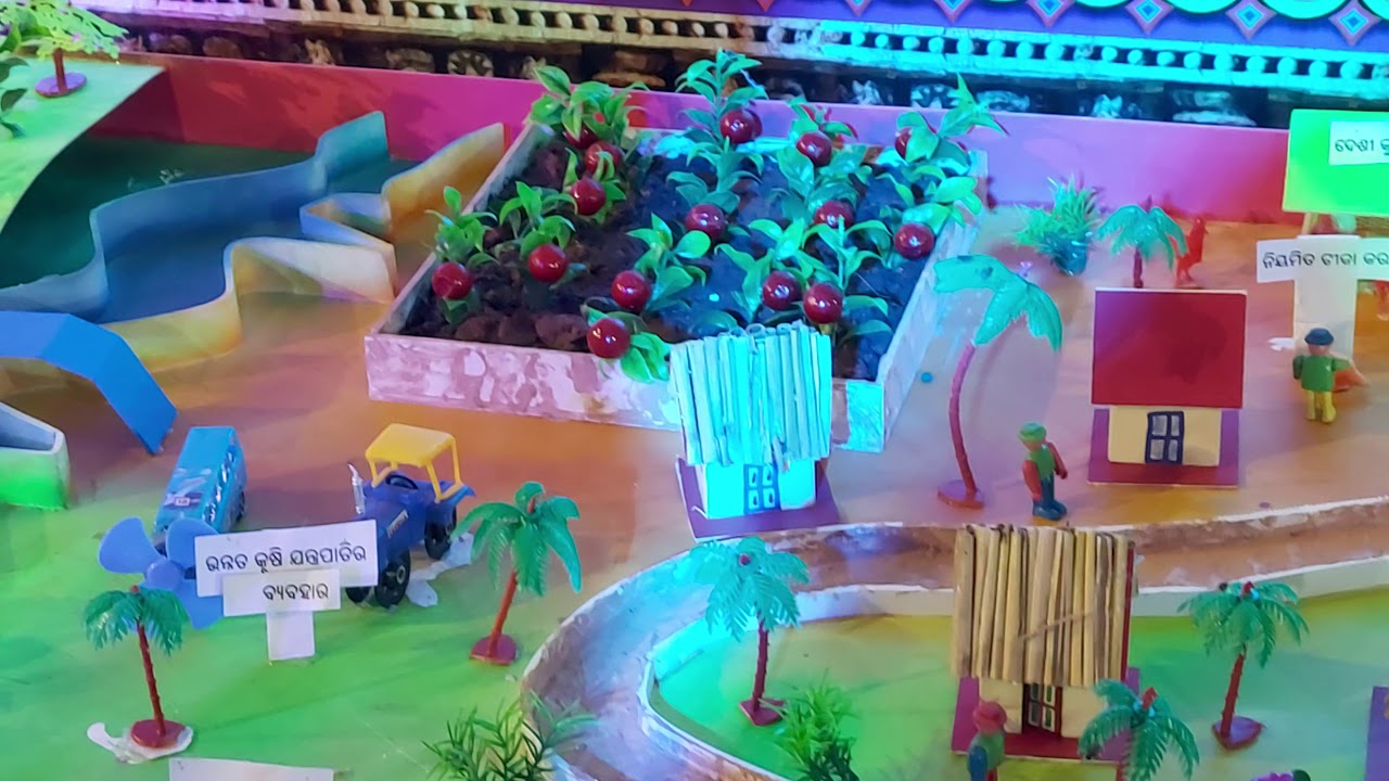 Made with fruits and vegetables exhibition show YouTube