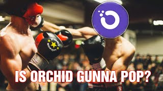 ORCHID LAUNCHES APP! PUMP INCOMING? screenshot 3