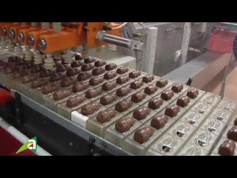 L'agroalimentaire : les métiers du chocolat 