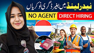 Netherlands Work Visa | Apply for Work Visa Online 2026 | Work Permit
