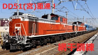 DD51重連＋12系5B 網干訓練