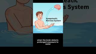 Why do our fingers wrinkle in water? #why #wrinkles #water