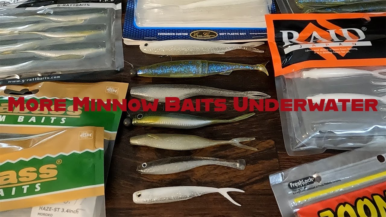Minnow Baits Tested Underwater (Megabass, Raid, Evergreen)