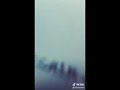 حالات واتس اب حتموت ضحك😅😂