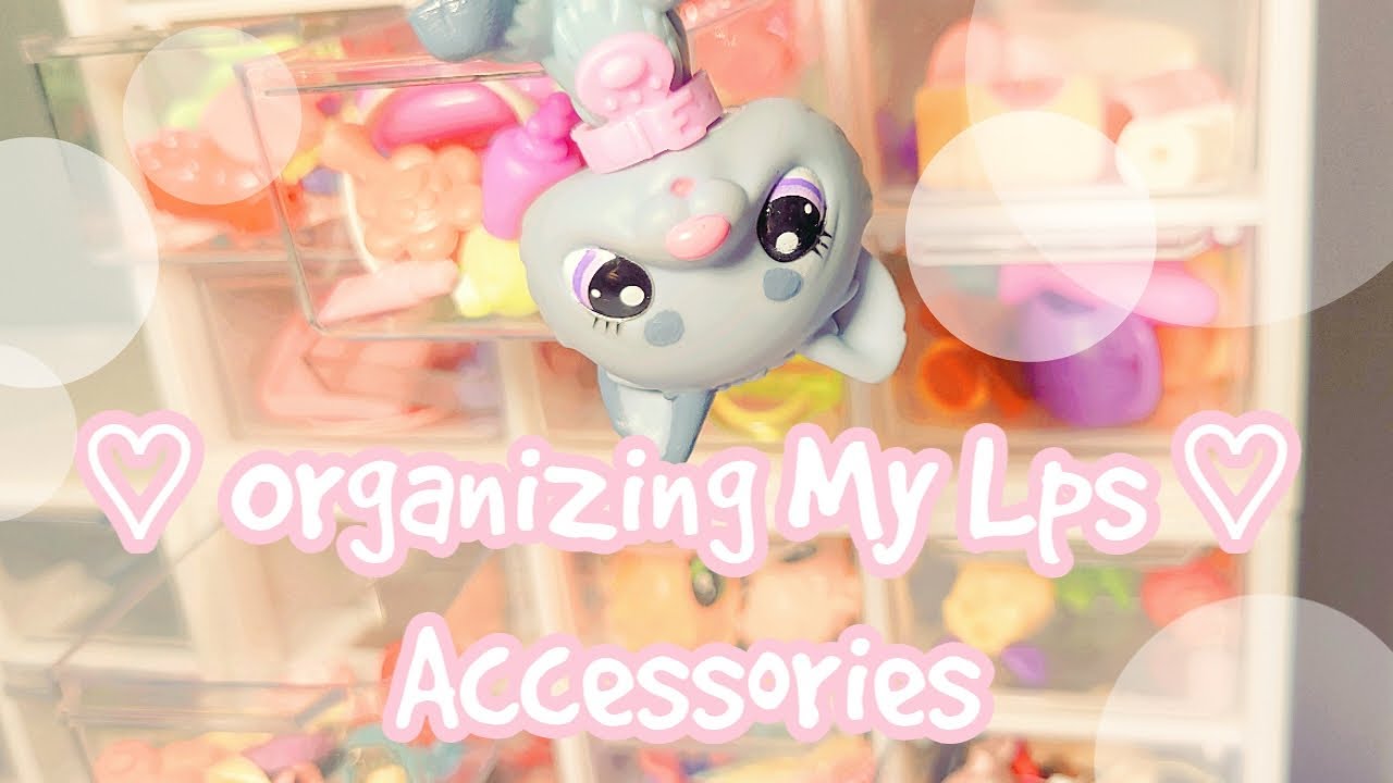 Organizing My Mini Lps Accessories For The New Year! | DieselkoiLps