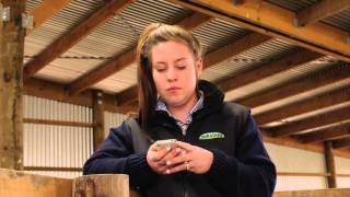 Silver Fern Farms Online Diary with mobile app screenshot 5