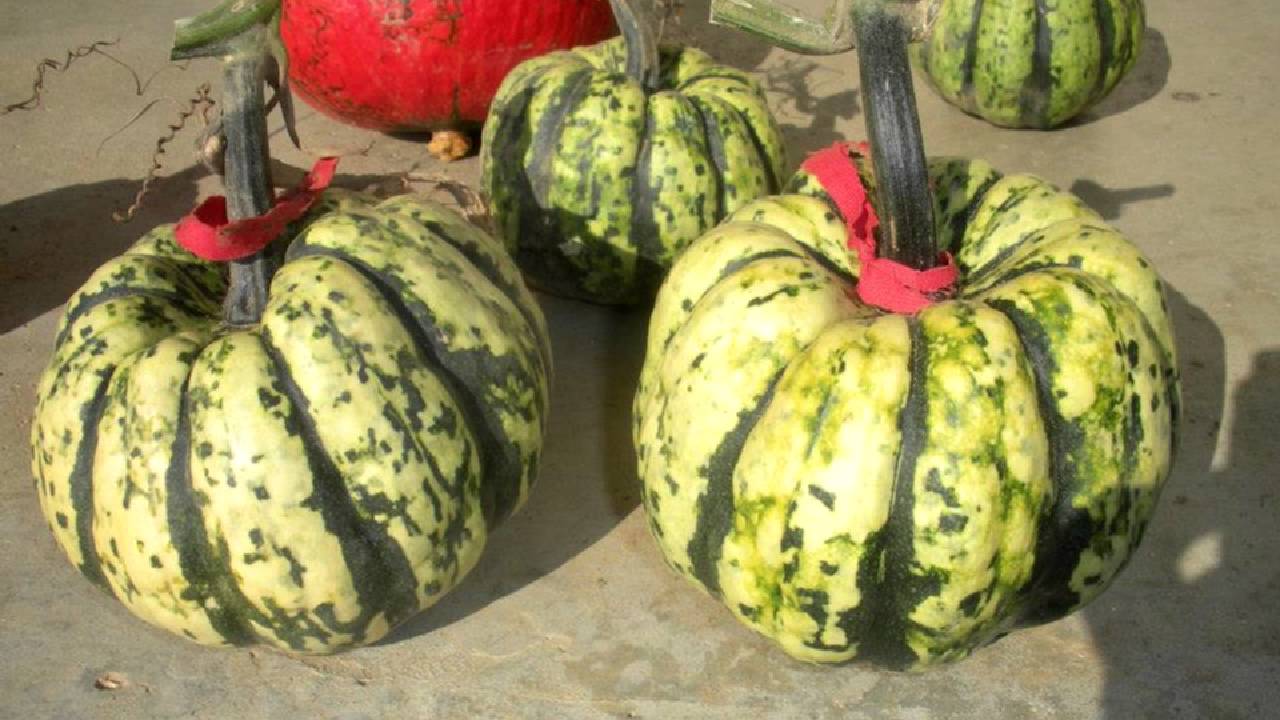 Garden Profiles: Channel Trailer