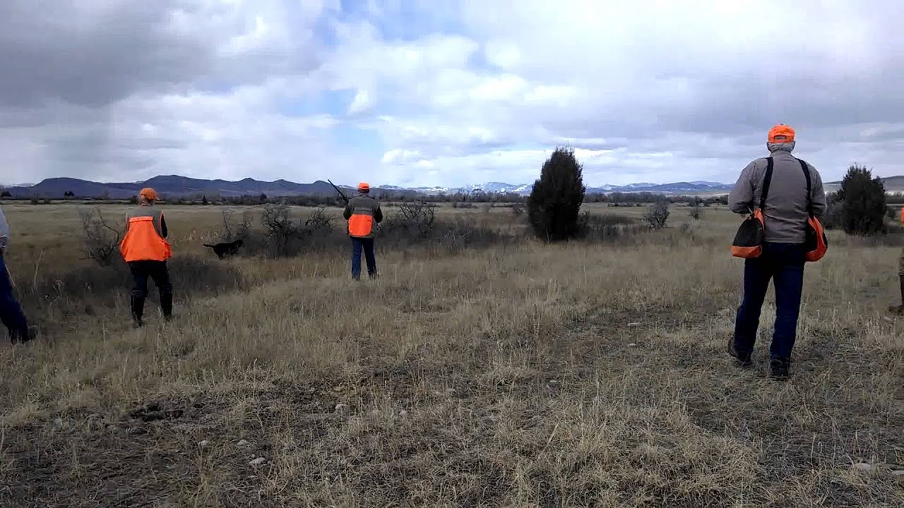 hrc-upland-with-windy-first-flush-youtube