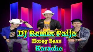 Download Lagu DJ Paijo Karaoke Horeg Bass - TANPA VOKAL MP3