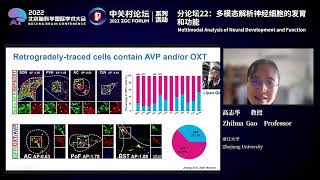 Multimodal Analysis of Neural Development and Function