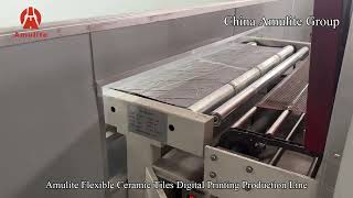 High-Resolution MCM Soft Tile Manufacturing: Digital Printing Production Line screenshot 4