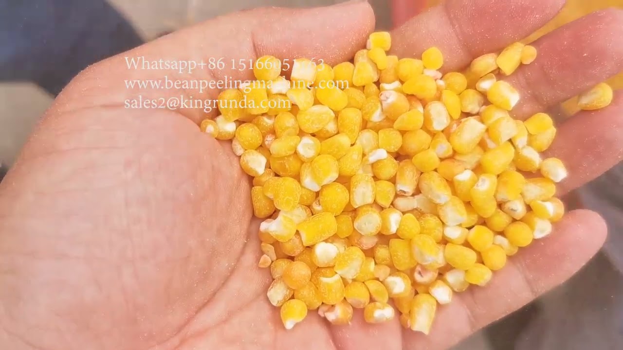 5-6T/H maize peeling machine/maize skin removing machine/maize dehuller/dehusker/Corn Degerminator