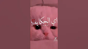 اغنية مش مجمع لية بدمع 