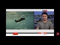 نحمي_محيطاتنا : مقابلة مسؤول الحملات في غرينبيس محمد تزروتي مع شبكة# BBC Arabic