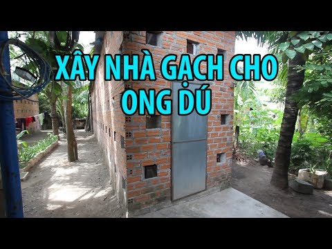 Video KỲ LẠ Người xây nhà NUÔI ONG DÚ kiếm thu nhập KHỦNG - youtube