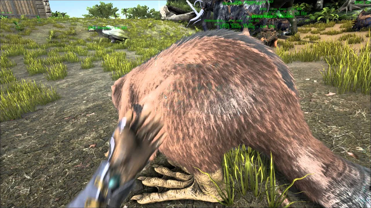 ARK | Castoroides/Giant Beaver | Tamed!