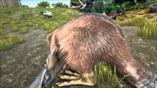 ARK | Castoroides/Giant Beaver | Tamed!