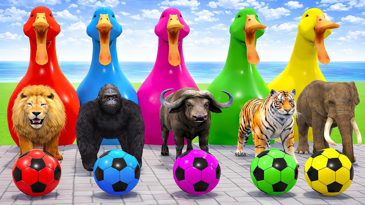 Long Slide Game With Man buffalo Gorilla Cow Tiger 3d Animal Race Game By Chulbul Zone