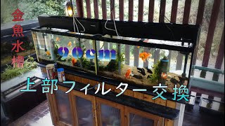 【金魚水槽】コトブキ90cm上部フィルター交換